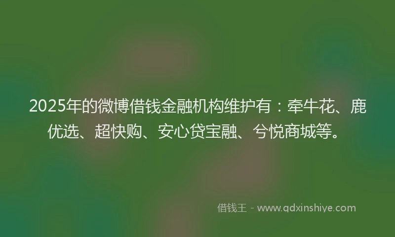 2025年的微博借钱金融机构维护有：牵牛花、鹿优选、超快购、安心贷宝融、兮悦商城等。