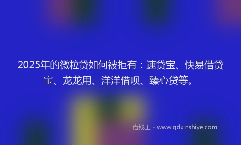 2025年的微粒贷如何被拒有：速贷宝、快易借贷宝、龙龙用、洋洋借呗、臻心贷等。
