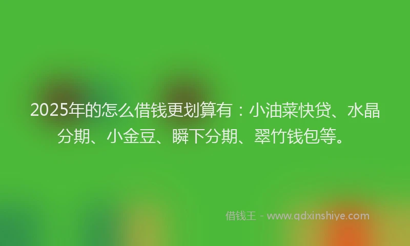 2025年的怎么借钱更划算有：小油菜快贷、水晶分期、小金豆、瞬下分期、翠竹钱包等。