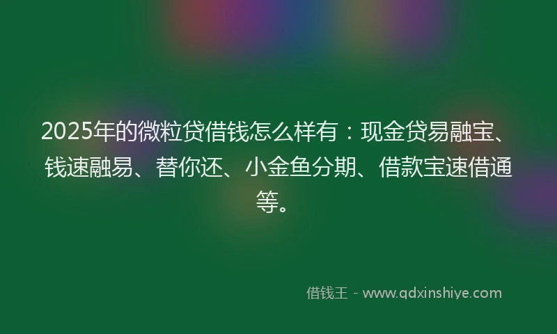 2025年的微粒贷借钱怎么样有：现金贷易融宝、钱速融易、替你还、小金鱼分期、借款宝速借通等。