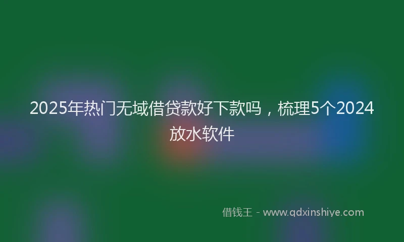 2025年热门无域借贷款好下款吗，梳理5个2024放水软件