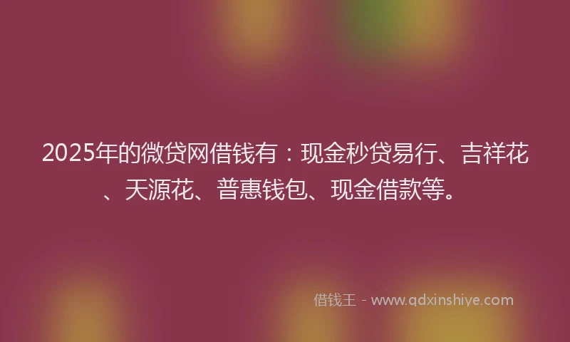 2025年的微贷网借钱有：现金秒贷易行、吉祥花、天源花、普惠钱包、现金借款等。