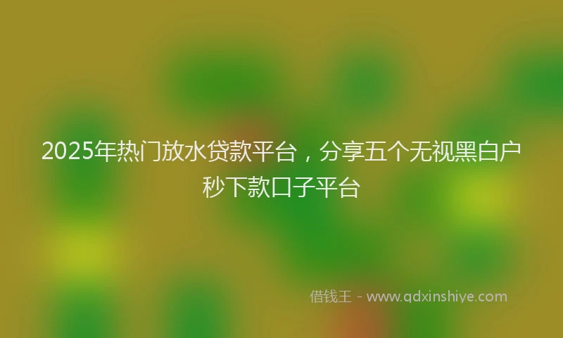 2025年热门放水贷款平台，分享五个无视黑白户秒下款口子平台