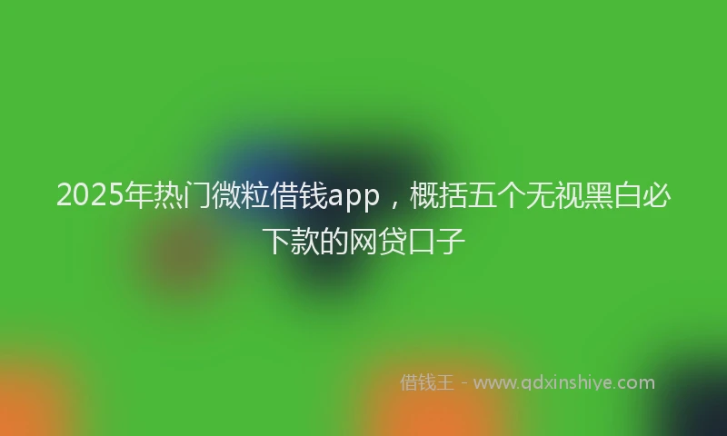 2025年热门微粒借钱app，概括五个无视黑白必下款的网贷口子