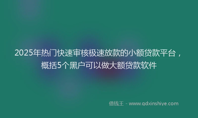 2025年热门快速审核极速放款的小额贷款平台，概括5个黑户可以做大额贷款软件