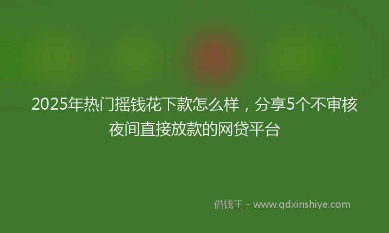 2025年热门摇钱花下款怎么样，分享5个不审核夜间直接放款的网贷平台
