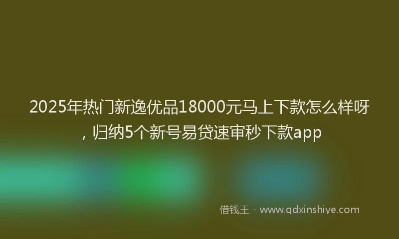 2025年热门新逸优品18000元马上下款怎么样呀，归纳5个新号易贷速审秒下款app