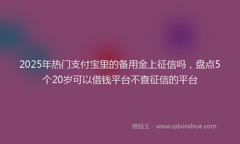 2025年热门支付宝里的备用金上征信吗，盘点5个20岁可以借钱平台不查征信的平台