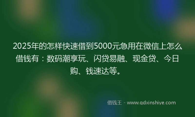 2025年的怎样快速借到5000元急用在微信上怎么借钱有：数码潮享玩、闪贷易融、现金贷、今日购、钱速达等。