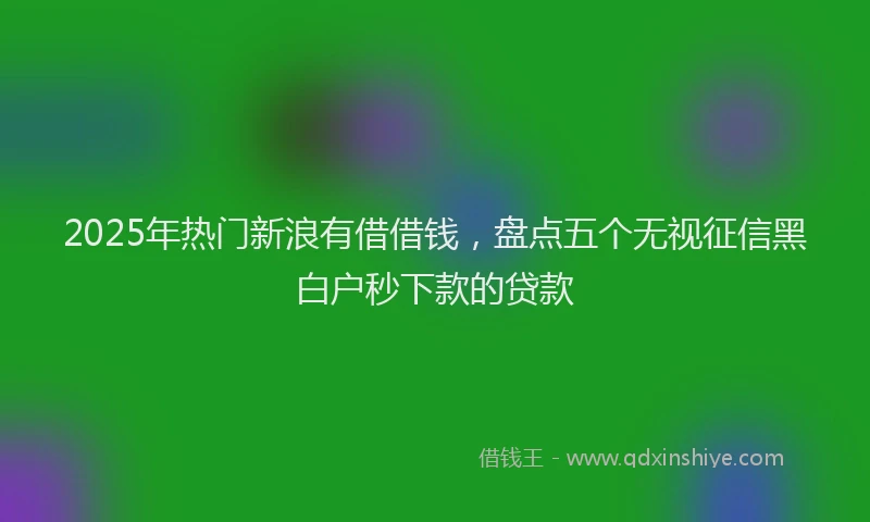 2025年热门新浪有借借钱，盘点五个无视征信黑白户秒下款的贷款