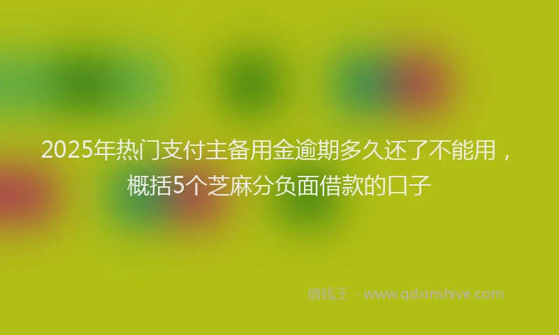 2025年热门支付主备用金逾期多久还了不能用，概括5个芝麻分负面借款的口子