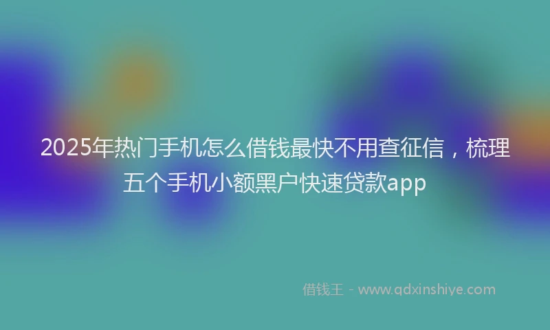 2025年热门手机怎么借钱最快不用查征信，梳理五个手机小额黑户快速贷款app