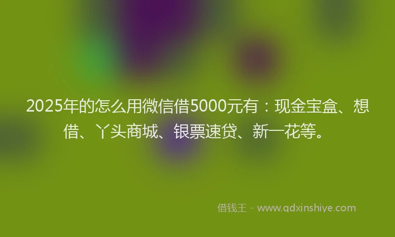 2025年的怎么用微信借5000元有：现金宝盒、想借、丫头商城、银票速贷、新一花等。