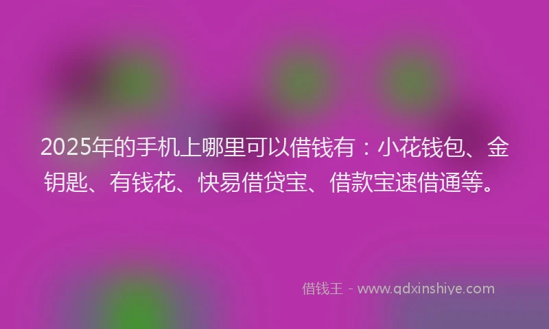 2025年的手机上哪里可以借钱有：小花钱包、金钥匙、有钱花、快易借贷宝、借款宝速借通等。