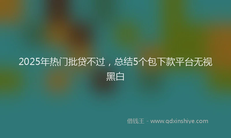2025年热门批贷不过，总结5个包下款平台无视黑白
