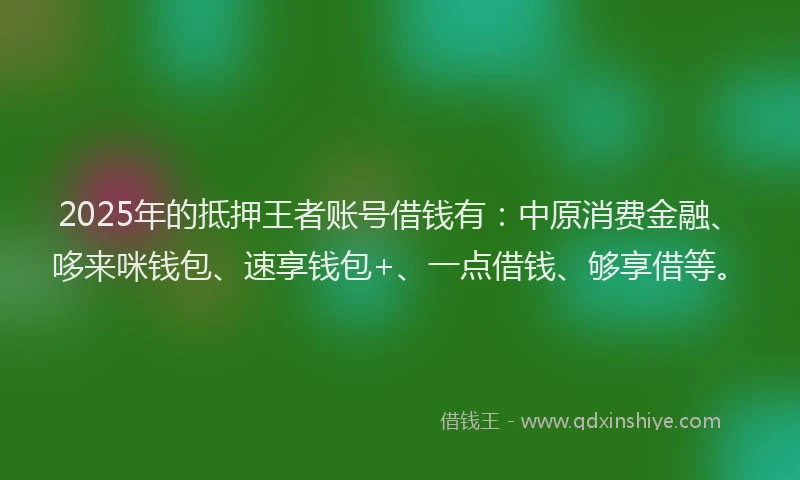 2025年的抵押王者账号借钱有：中原消费金融、哆来咪钱包、速享钱包+、一点借钱、够享借等。