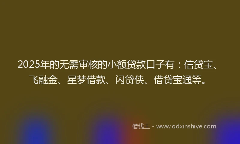2025年的无需审核的小额贷款口子有：信贷宝、飞融金、星梦借款、闪贷侠、借贷宝通等。