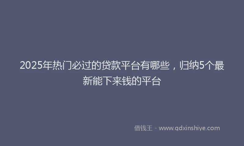 2025年热门必过的贷款平台有哪些，归纳5个最新能下来钱的平台