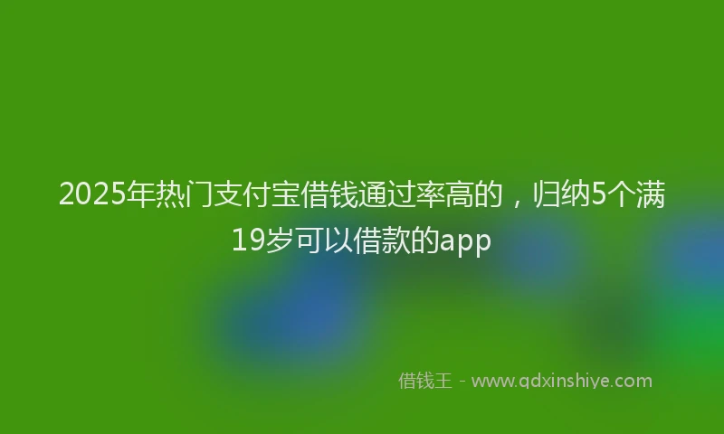 2025年热门支付宝借钱通过率高的，归纳5个满19岁可以借款的app