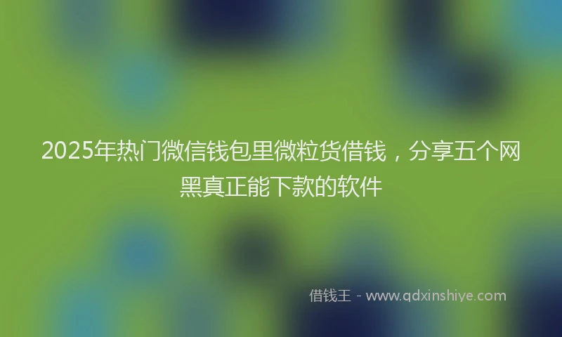 2025年热门微信钱包里微粒货借钱，分享五个网黑真正能下款的软件