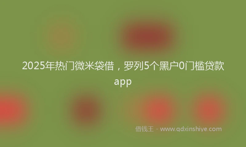 2025年热门微米袋借，罗列5个黑户0门槛贷款app