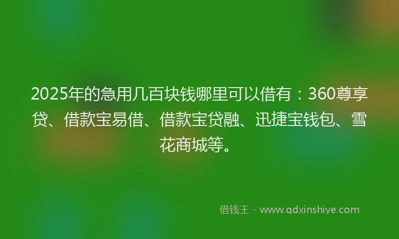 2025年的急用几百块钱哪里可以借有：360尊享贷、借款宝易借、借款宝贷融、迅捷宝钱包、雪花商城等。