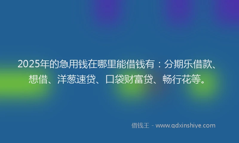 2025年的急用钱在哪里能借钱有：分期乐借款、想借、洋葱速贷、口袋财富贷、畅行花等。