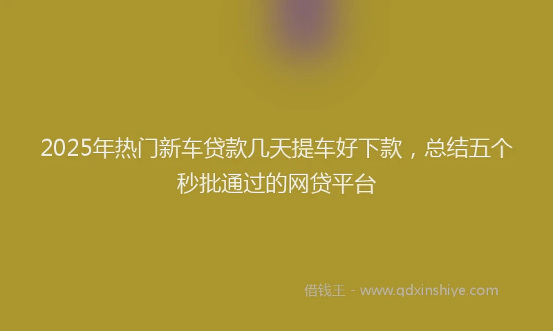 2025年热门新车贷款几天提车好下款，总结五个秒批通过的网贷平台