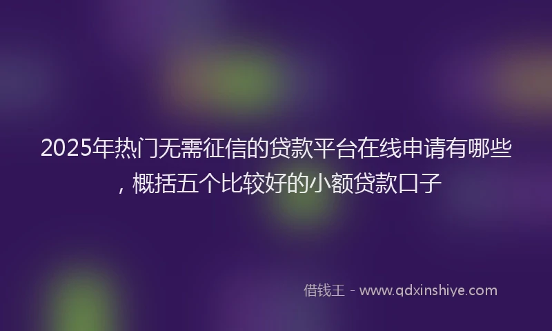 2025年热门无需征信的贷款平台在线申请有哪些，概括五个比较好的小额贷款口子
