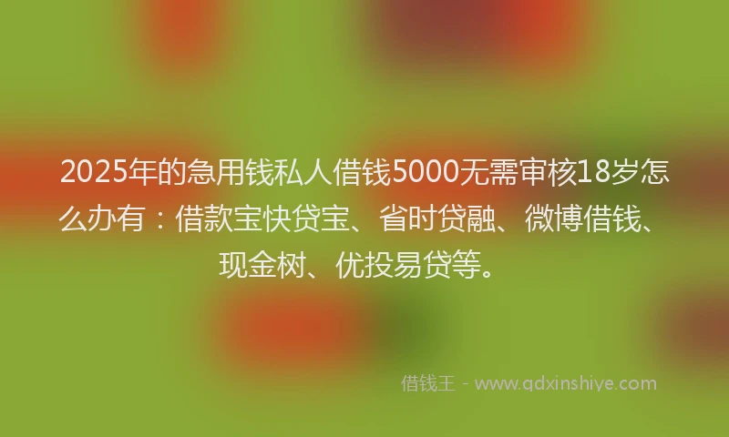 2025年的急用钱私人借钱5000无需审核18岁怎么办有：借款宝快贷宝、省时贷融、微博借钱、现金树、优投易贷等。