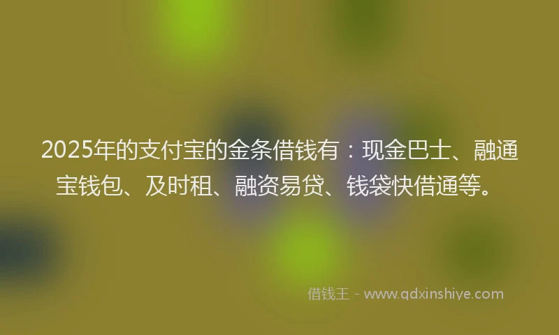 2025年的支付宝的金条借钱有：现金巴士、融通宝钱包、及时租、融资易贷、钱袋快借通等。