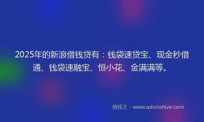 2025年的新浪借钱贷有：钱袋速贷宝、现金秒借通、钱袋速融宝、恒小花、金满满等。