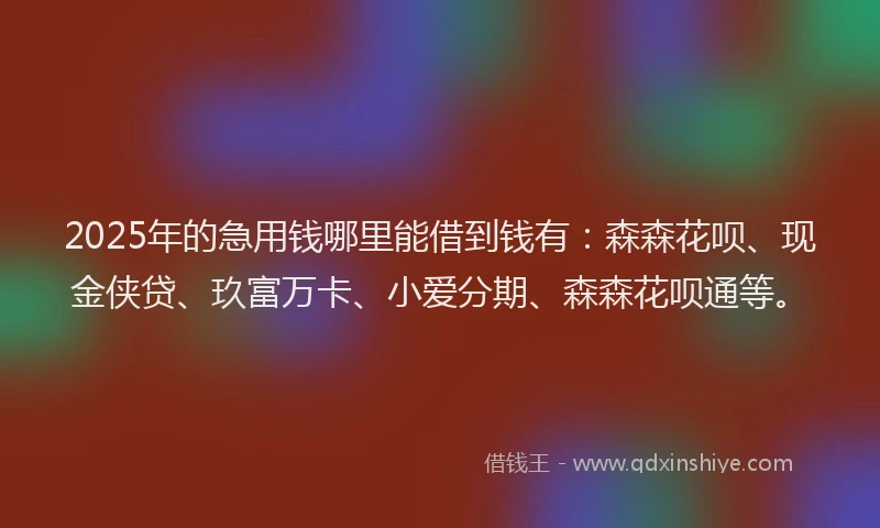 2025年的急用钱哪里能借到钱有：森森花呗、现金侠贷、玖富万卡、小爱分期、森森花呗通等。