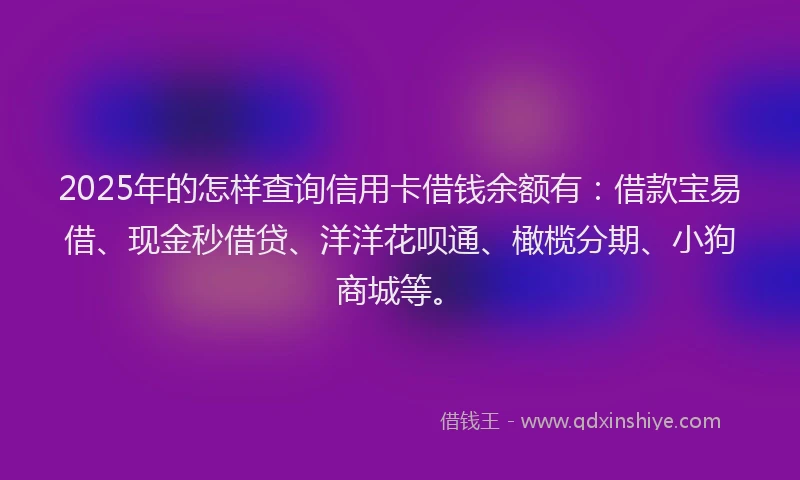 2025年的怎样查询信用卡借钱余额有：借款宝易借、现金秒借贷、洋洋花呗通、橄榄分期、小狗商城等。