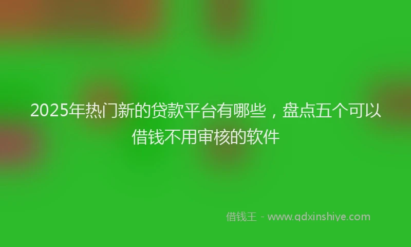 2025年热门新的贷款平台有哪些，盘点五个可以借钱不用审核的软件