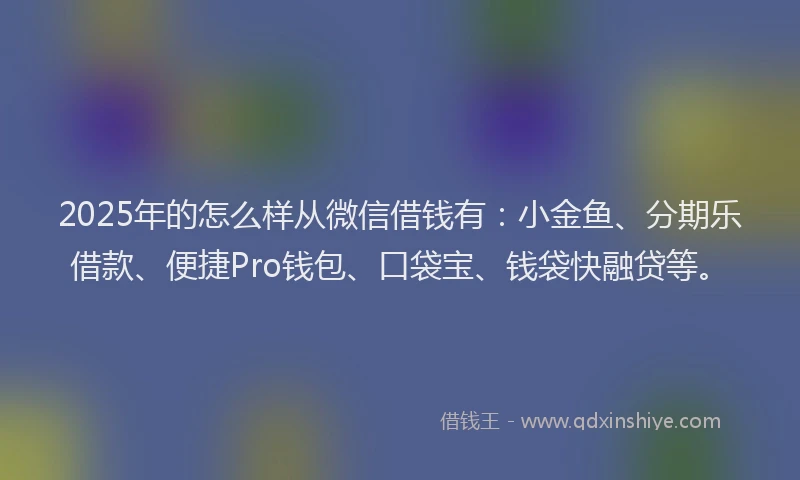 2025年的怎么样从微信借钱有：小金鱼、分期乐借款、便捷Pro钱包、口袋宝、钱袋快融贷等。