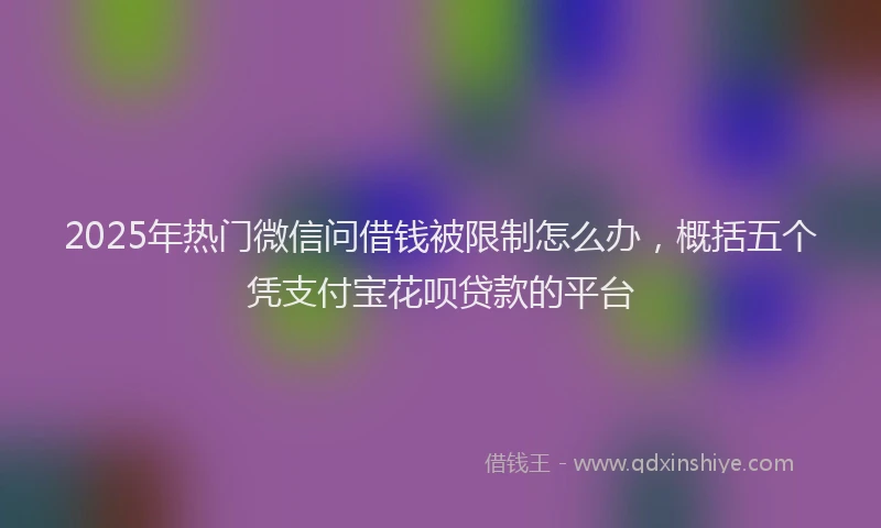 2025年热门微信问借钱被限制怎么办，概括五个凭支付宝花呗贷款的平台