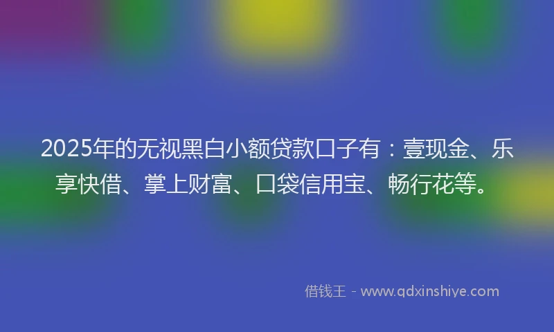 2025年的无视黑白小额贷款口子有：壹现金、乐享快借、掌上财富、口袋信用宝、畅行花等。