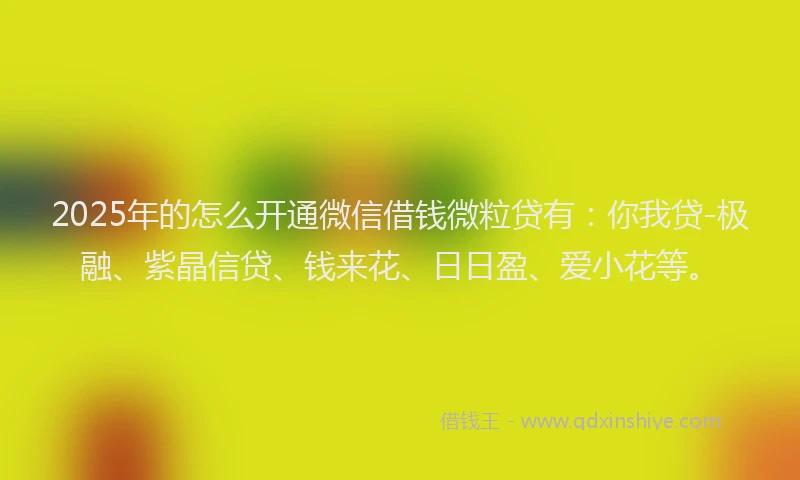 2025年的怎么开通微信借钱微粒贷有：你我贷-极融、紫晶信贷、钱来花、日日盈、爱小花等。