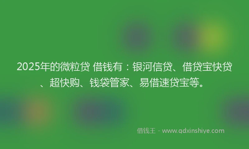 2025年的微粒贷 借钱有：银河信贷、借贷宝快贷、超快购、钱袋管家、易借速贷宝等。