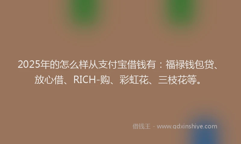 2025年的怎么样从支付宝借钱有：福禄钱包贷、放心借、RICH-购、彩虹花、三枝花等。