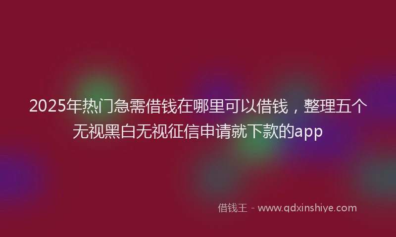 2025年热门急需借钱在哪里可以借钱，整理五个无视黑白无视征信申请就下款的app