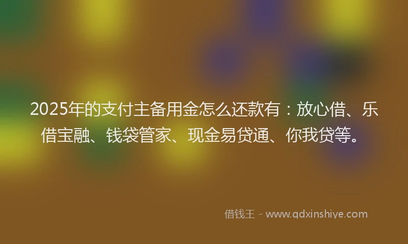 2025年的支付主备用金怎么还款有：放心借、乐借宝融、钱袋管家、现金易贷通、你我贷等。