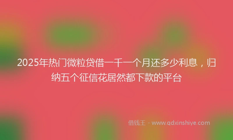2025年热门微粒贷借一千一个月还多少利息，归纳五个征信花居然都下款的平台
