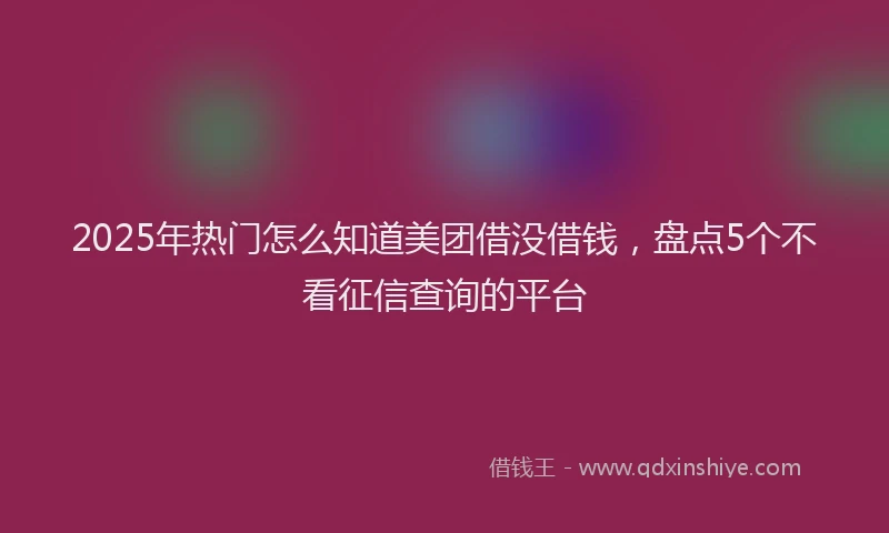 2025年热门怎么知道美团借没借钱，盘点5个不看征信查询的平台