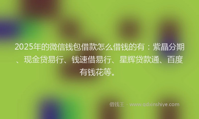 2025年的微信钱包借款怎么借钱的有：紫晶分期、现金贷易行、钱速借易行、星辉贷款通、百度有钱花等。