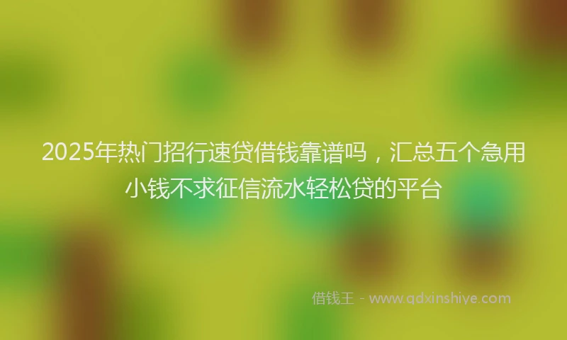 2025年热门招行速贷借钱靠谱吗，汇总五个急用小钱不求征信流水轻松贷的平台