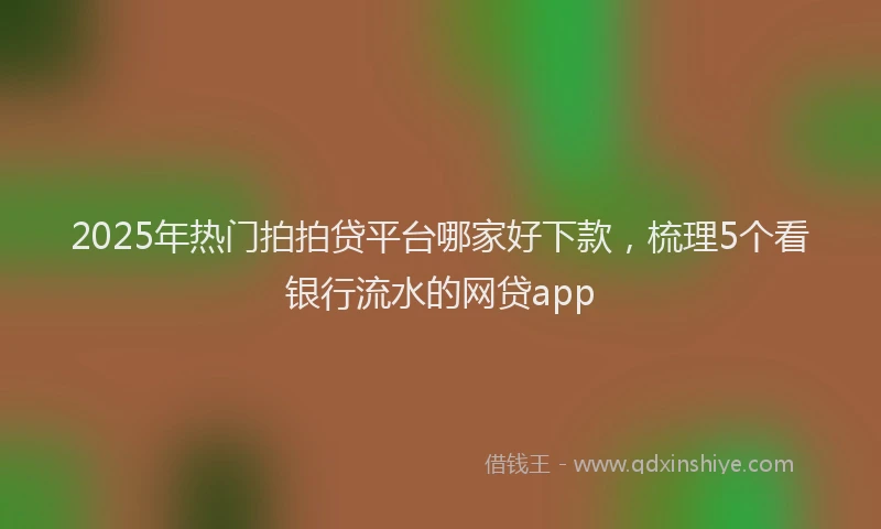 2025年热门拍拍贷平台哪家好下款，梳理5个看银行流水的网贷app