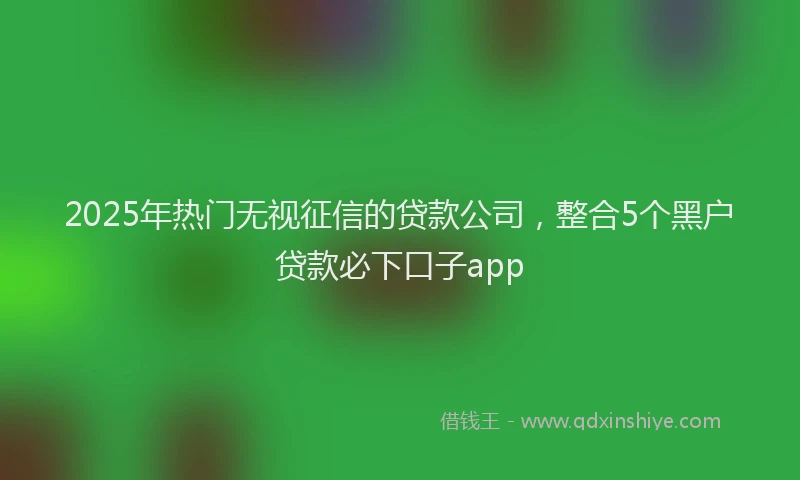 2025年热门无视征信的贷款公司，整合5个黑户贷款必下口子app