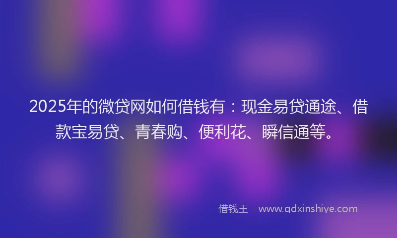 2025年的微贷网如何借钱有：现金易贷通途、借款宝易贷、青春购、便利花、瞬信通等。